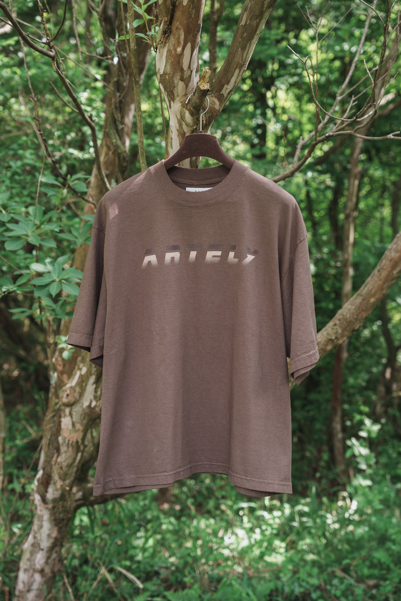 森の蝶 T-shirt（Brown）