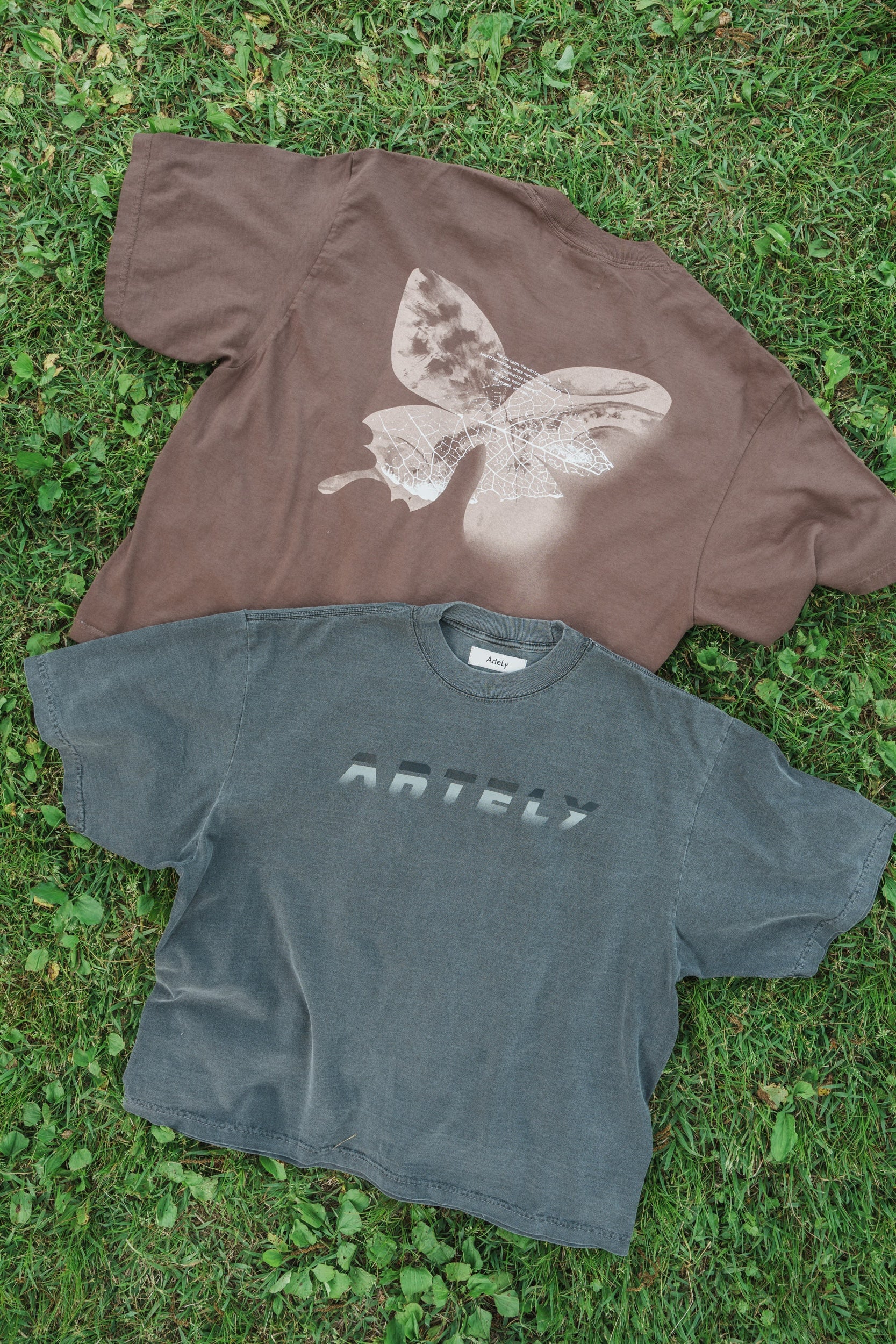 森の蝶 T-shirt（Brown）