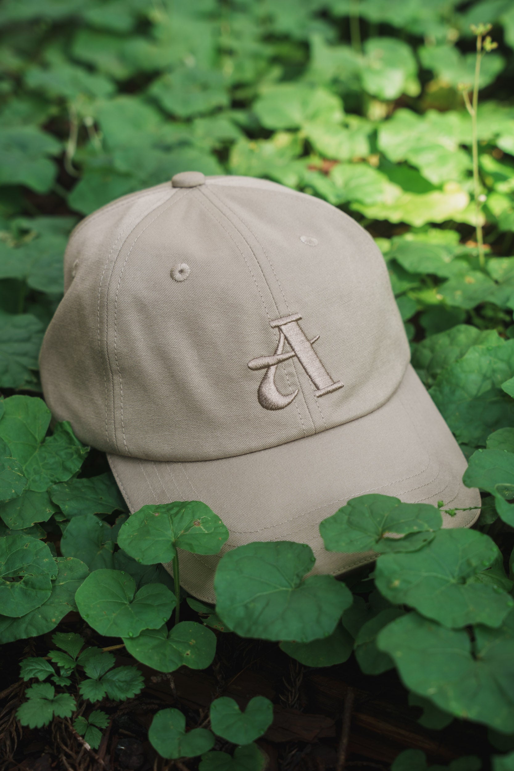 Embroidery Cap（Beige）